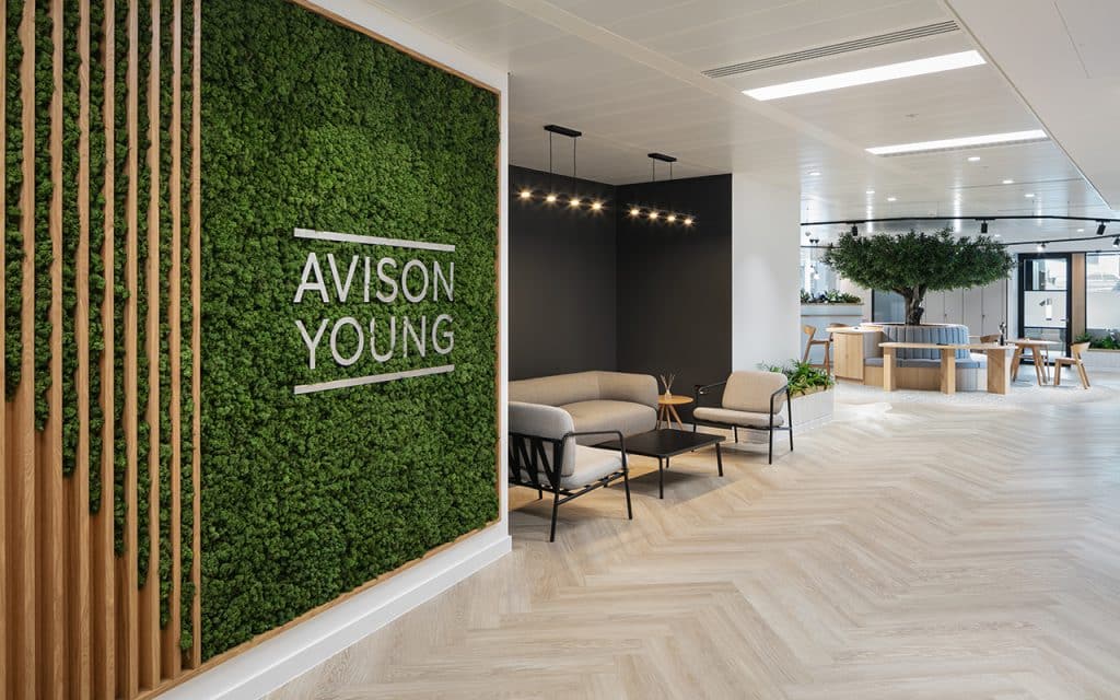 Avison Young Office Design