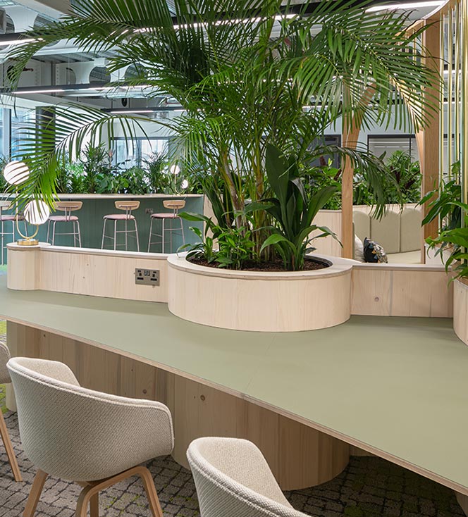 Biophilic design in eco friendly office space