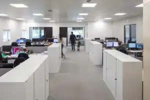 Pet friendly office design