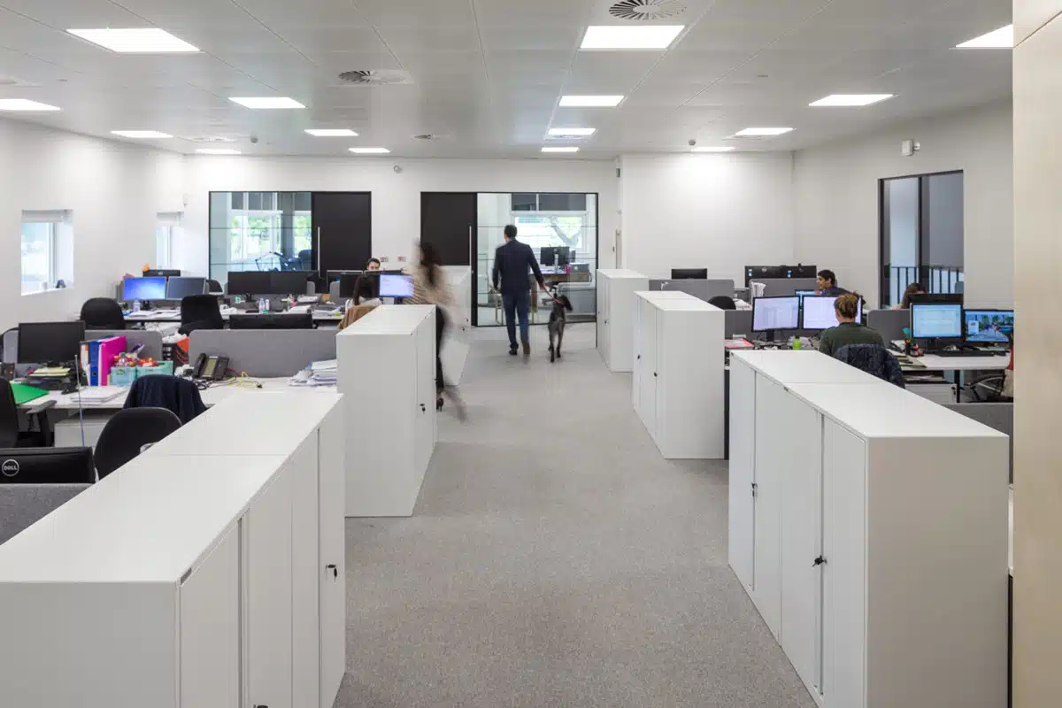 Pet friendly office design