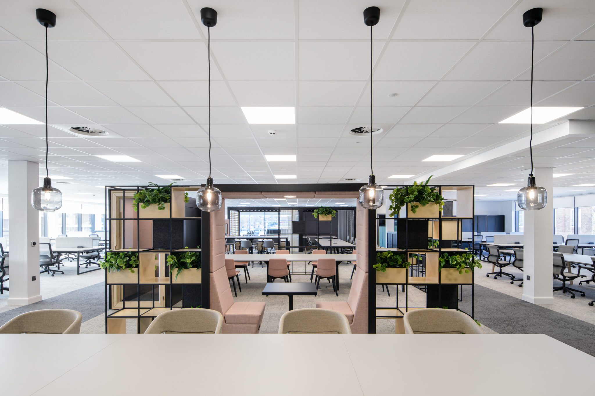 workplace design for collaborative co-working areas