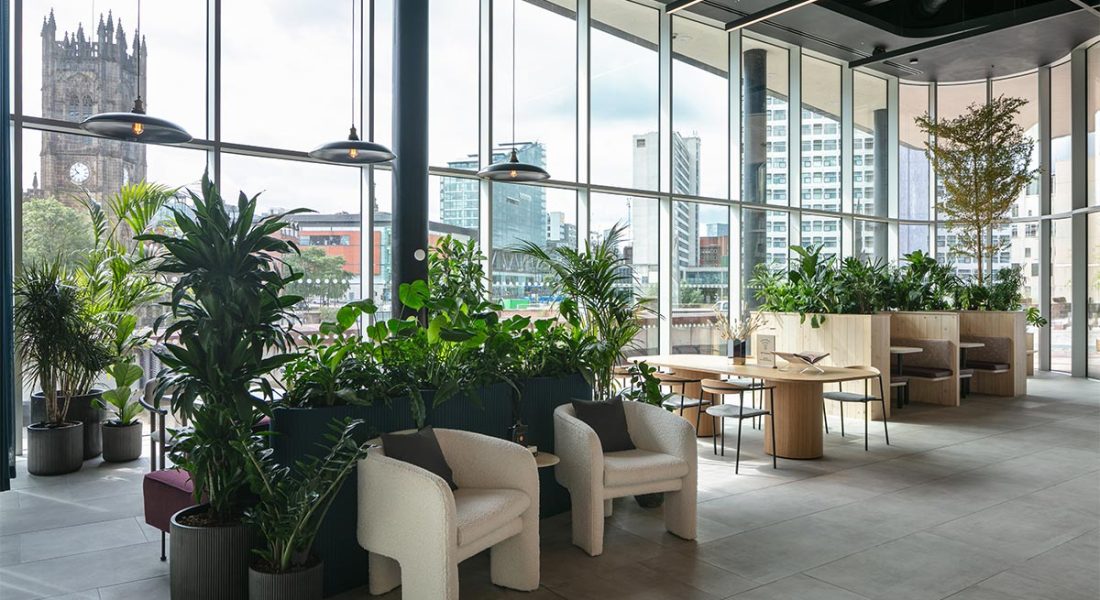 lighting in workspace design