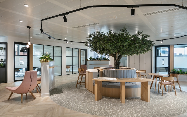 A sustainable office design for Avison Young in Manchester