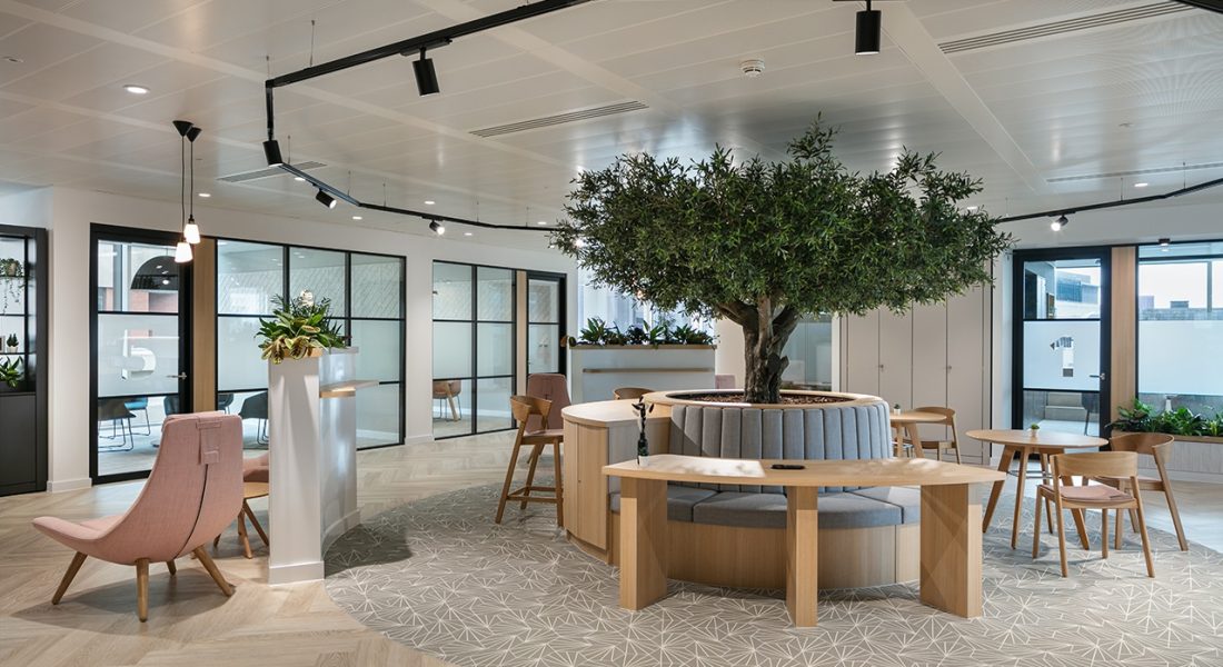 A sustainable office design for Avison Young in Manchester