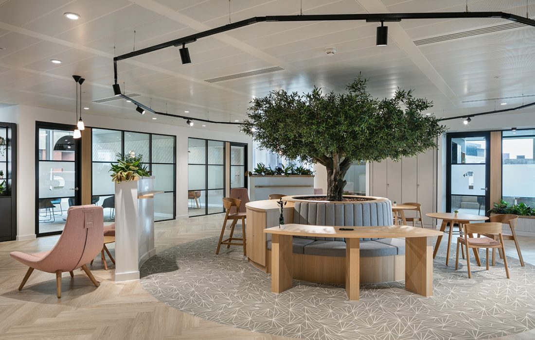 A sustainable office design for Avison Young in Manchester