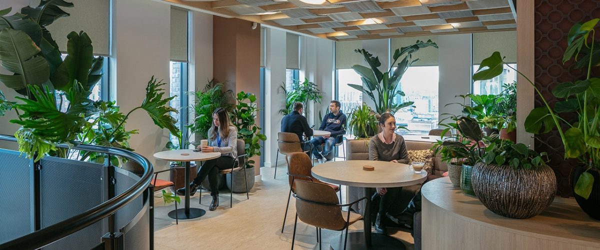 office design trends