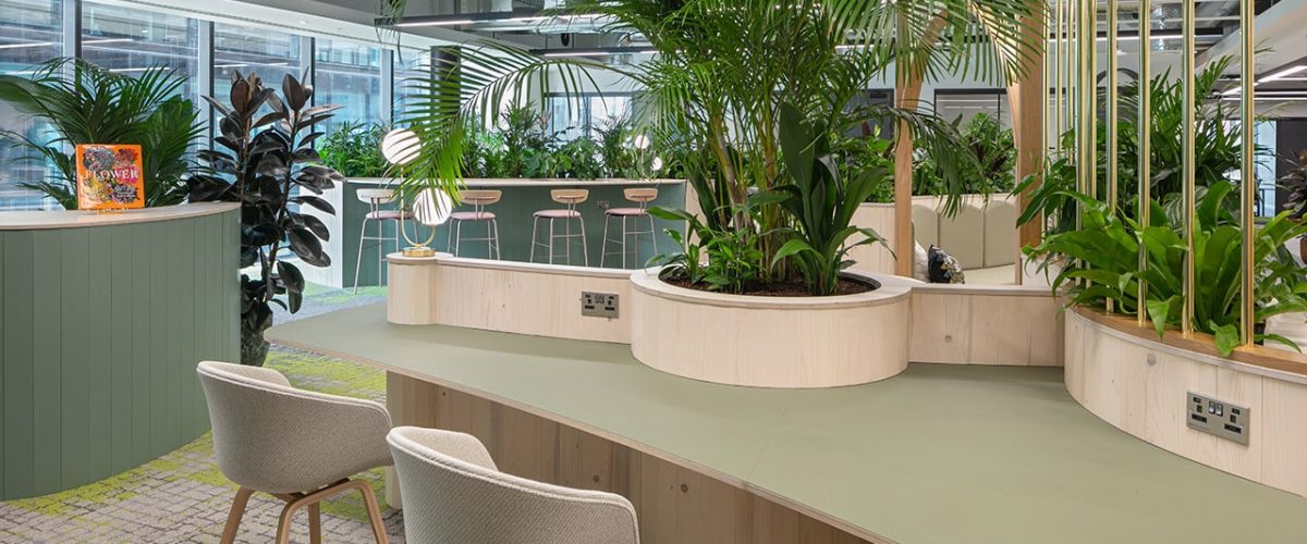 office redesign for x+why by ADT Workplace